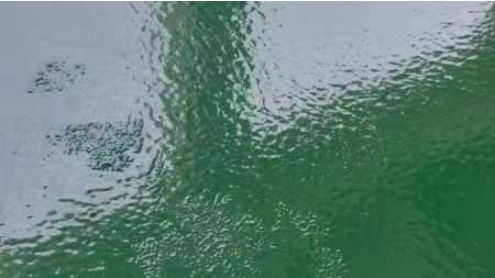 環(huán)氧地坪起皺是怎么回事